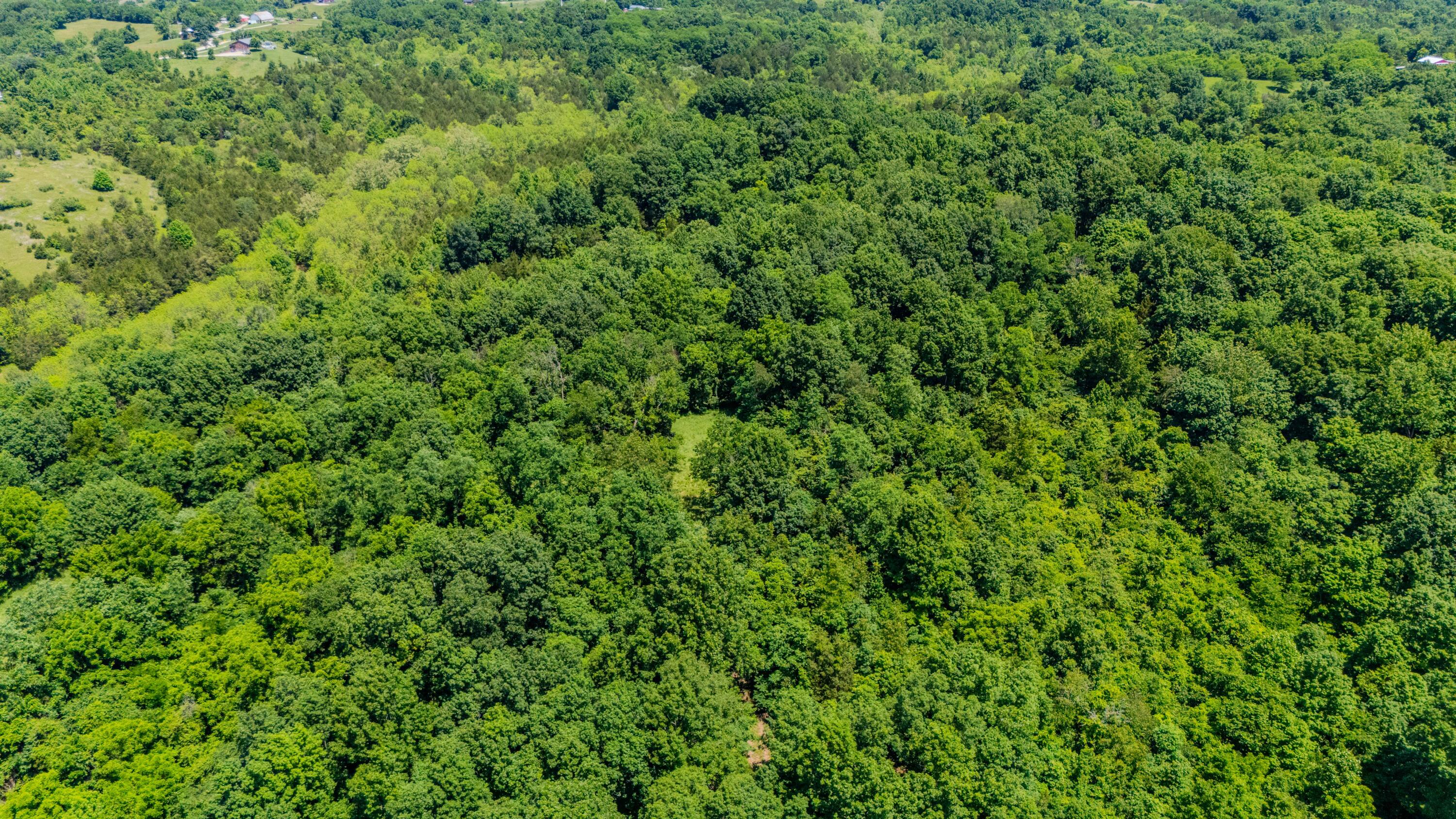 1265 Edmonson Road Lawrenceburg, KY 40342 - Photo 49 of 64 1265Edmonson--12