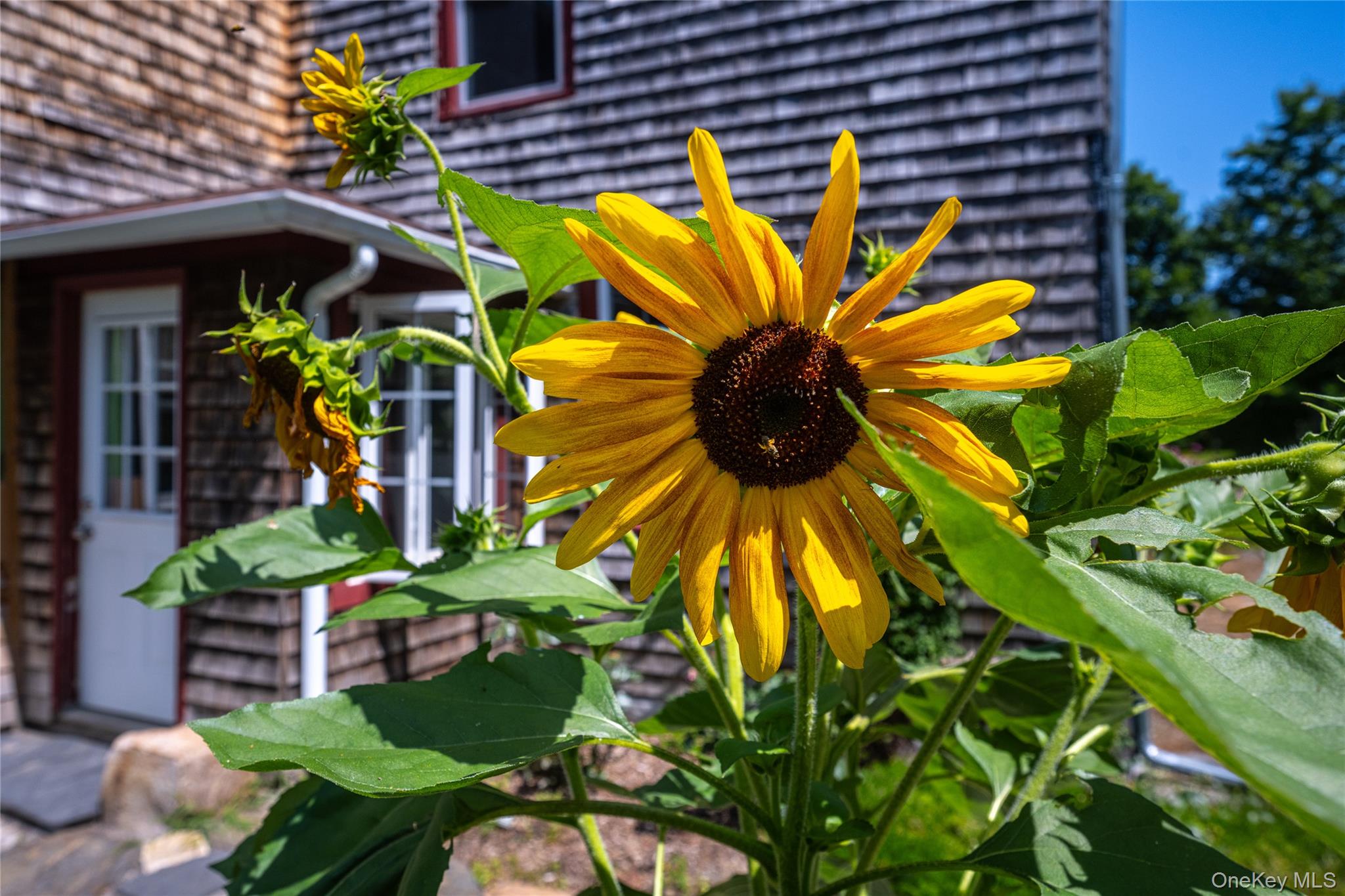 35 Benton Road Wassaic, NY 12592 - Photo 14 of 35 Gallery Image 14
