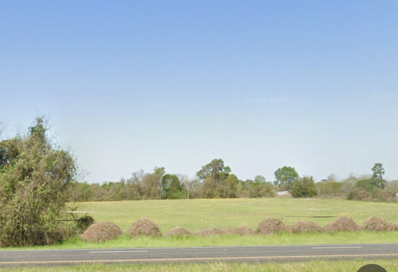 a view of mountain with trees in the background