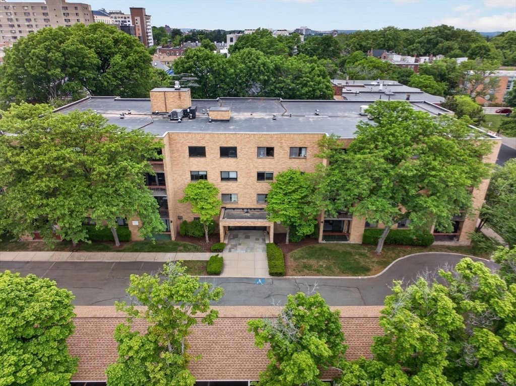 41 Centre Street, Unit 106 Brookline, MA 02446 - Photo 17 of 20