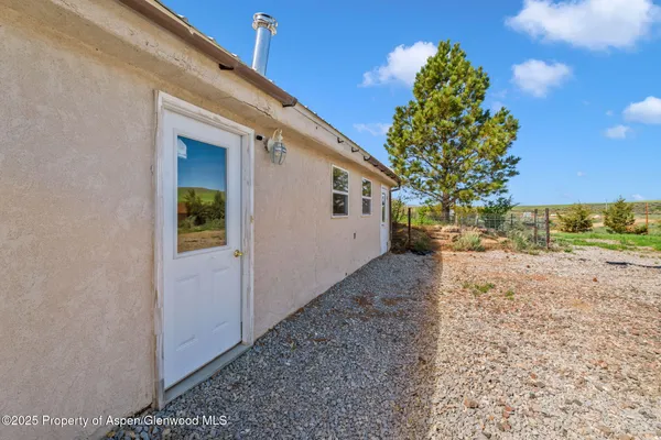 a view of a yard with plants and a large tree