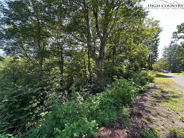 a view of a field of grass and trees