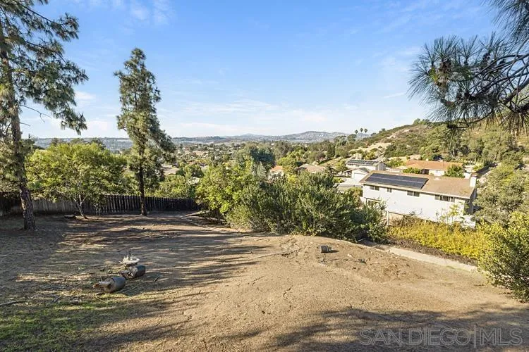4334 Corral Canyon Road Bonita, CA 91902 - Photo 29 of 32 a view of a yard with a tree