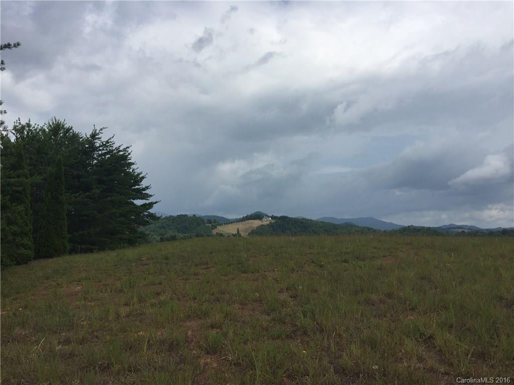 83 Rose Creek Road, Unit 1 Leicester, NC 28748 - Photo 2 of 7