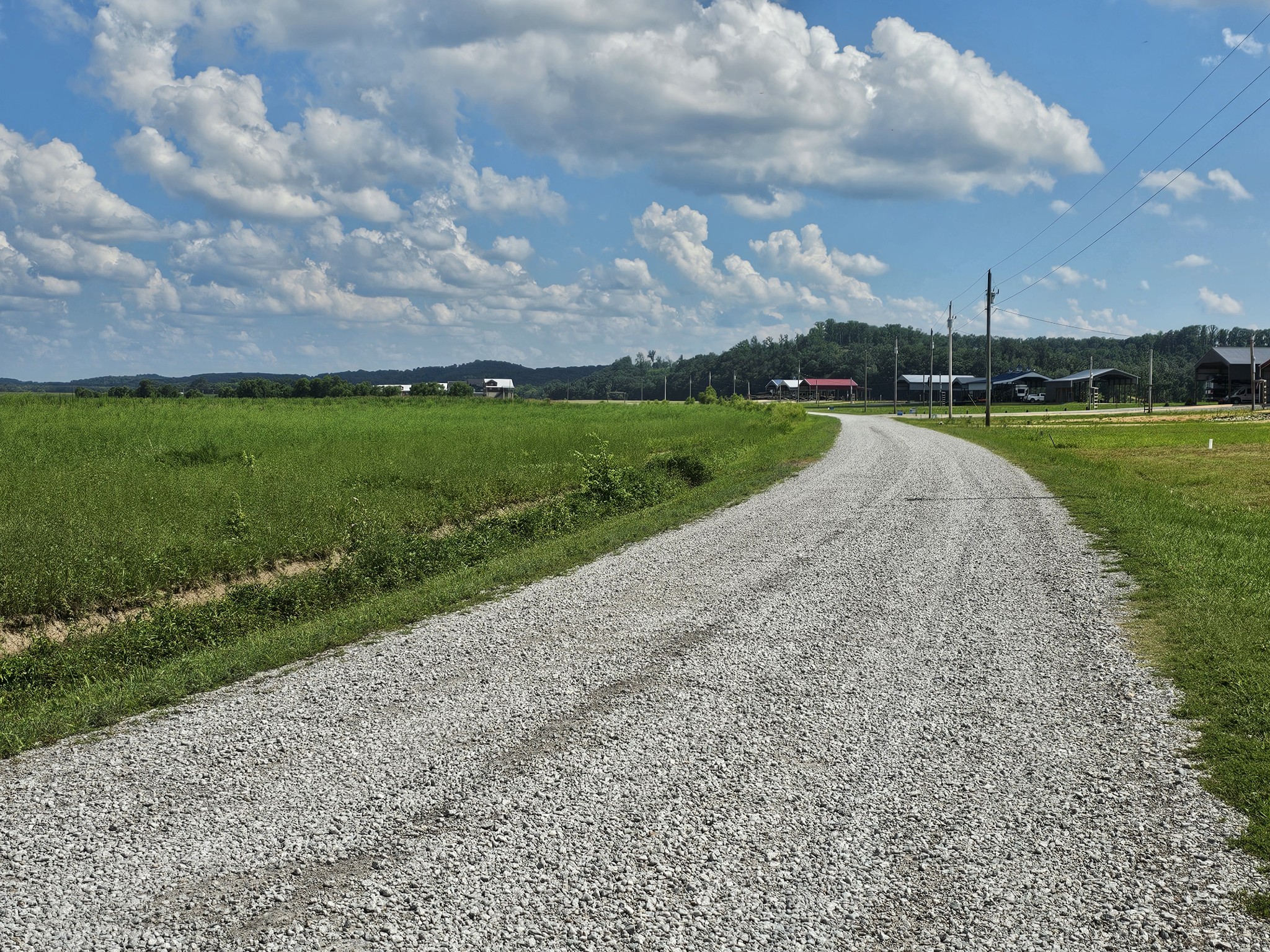 1901 Hardin Bottom River Road Clifton, TN 38425 - Photo 3 of 22 a view of a lake with a big yard