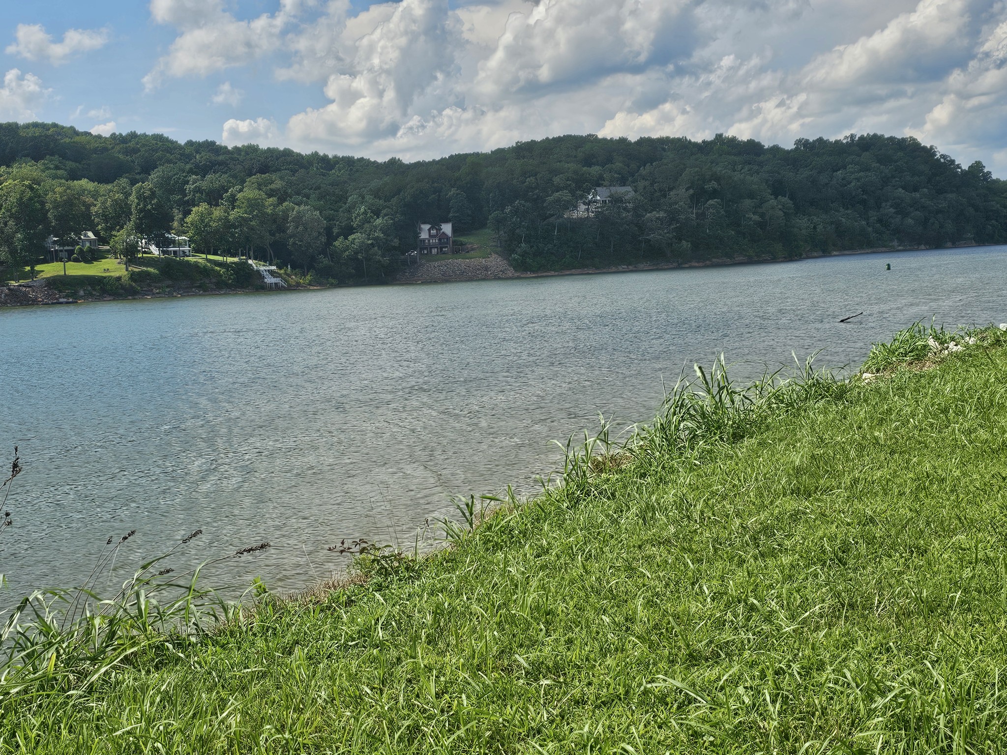 1901 Hardin Bottom River Road Clifton, TN 38425 - Photo 4 of 22 a view of outdoor space and yard