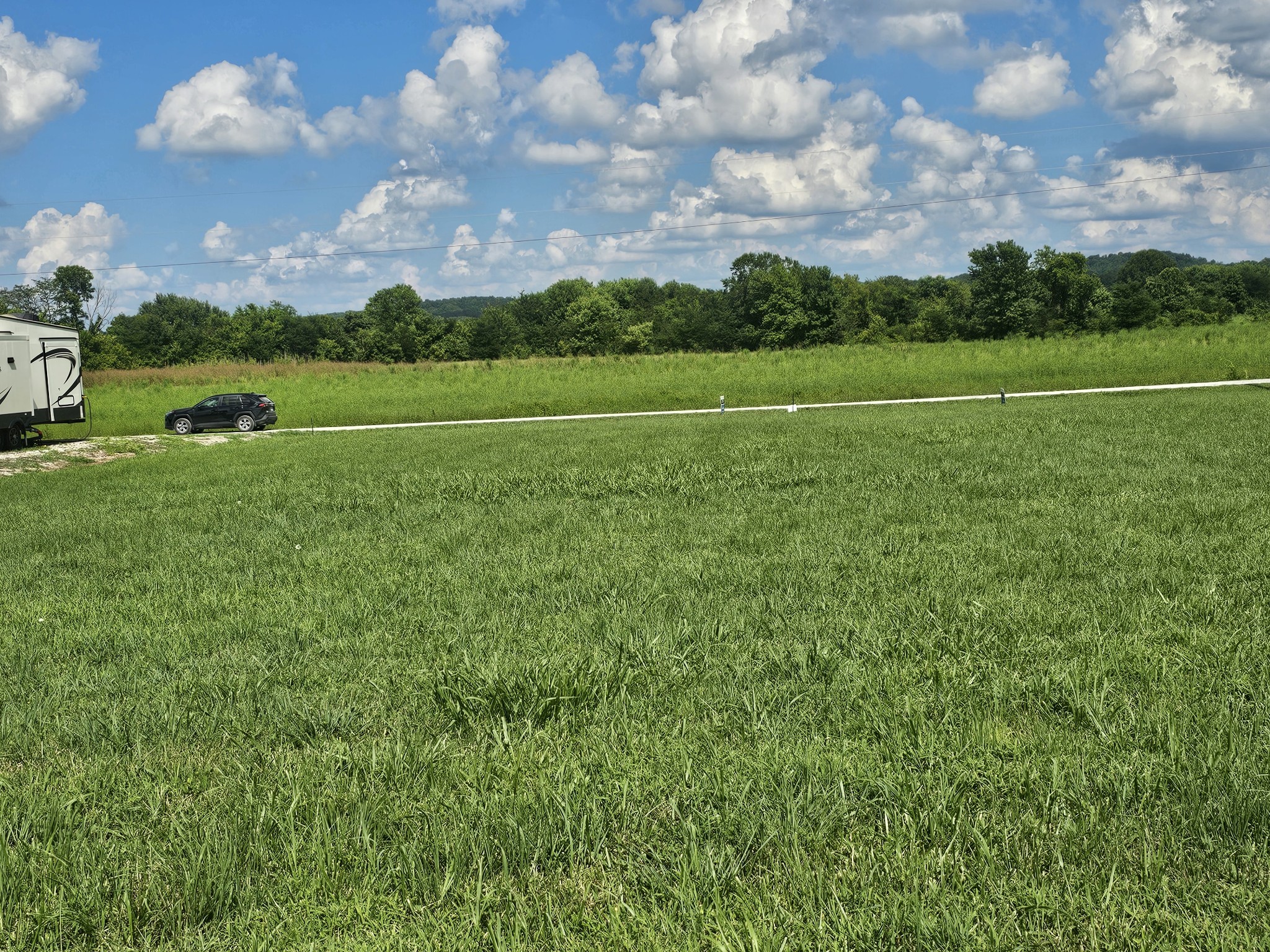 1901 Hardin Bottom River Road Clifton, TN 38425 - Photo 5 of 22 a view of a green field with wooden fence