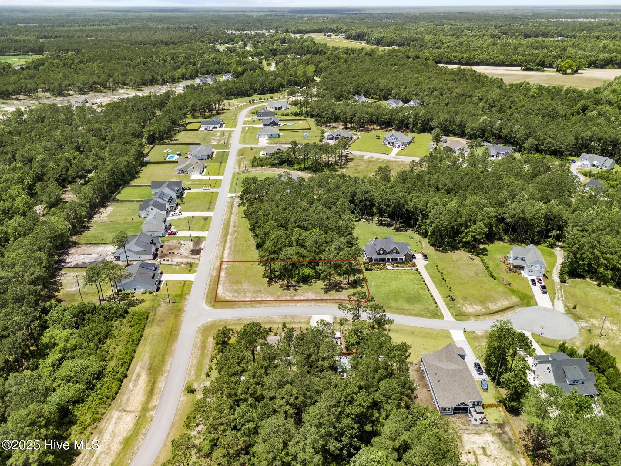 229 Gus Horne Road Holly Ridge, NC 28445 - Photo 10 of 14 229 Pic 10
