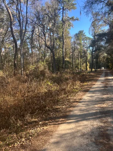 a view of a yard with large trees