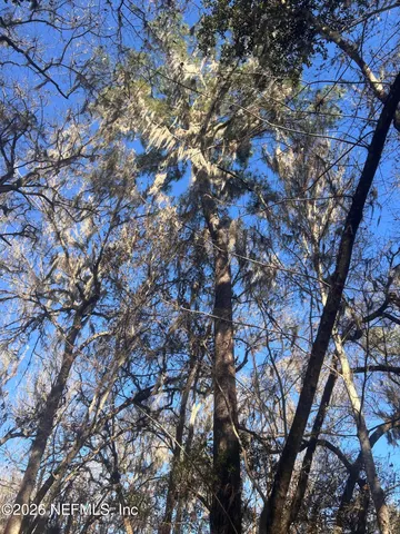 a backyard of a house