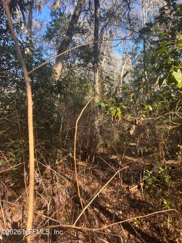 a view of a yard with trees