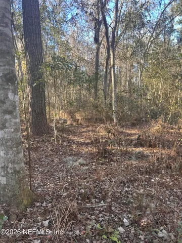 a view of outdoor space with deck and tree
