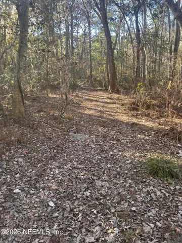 a view of a yard with trees