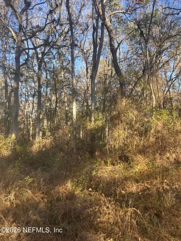 $39,000 | 258 Lake Drive, Florahome, FL 32140