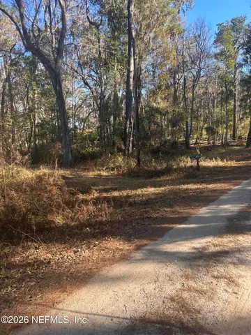 a view of a yard with a tree