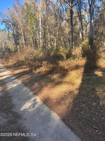 a view of dirt yard with trees