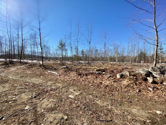 0 Mudgett Road Parsonsfield, ME 04047 - Photo 5 of 9 IMG_1566
