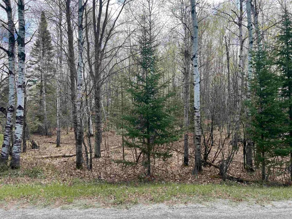 $44,900 | Nejedlo Road, Unit 5, Wausaukee, WI 54177