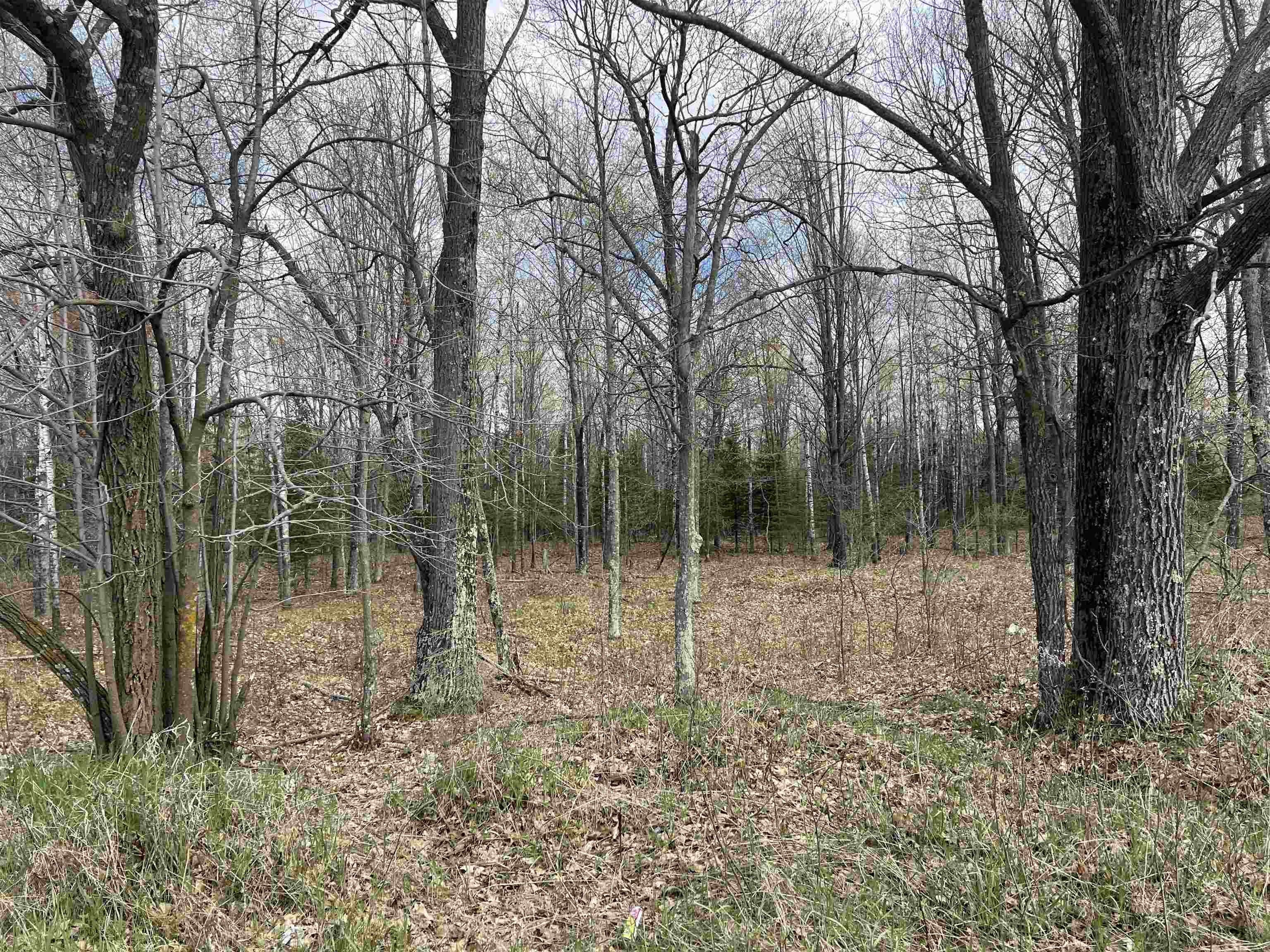 Nejedlo Road, Unit 5 Wausaukee, WI 54177 - Photo 3 of 5