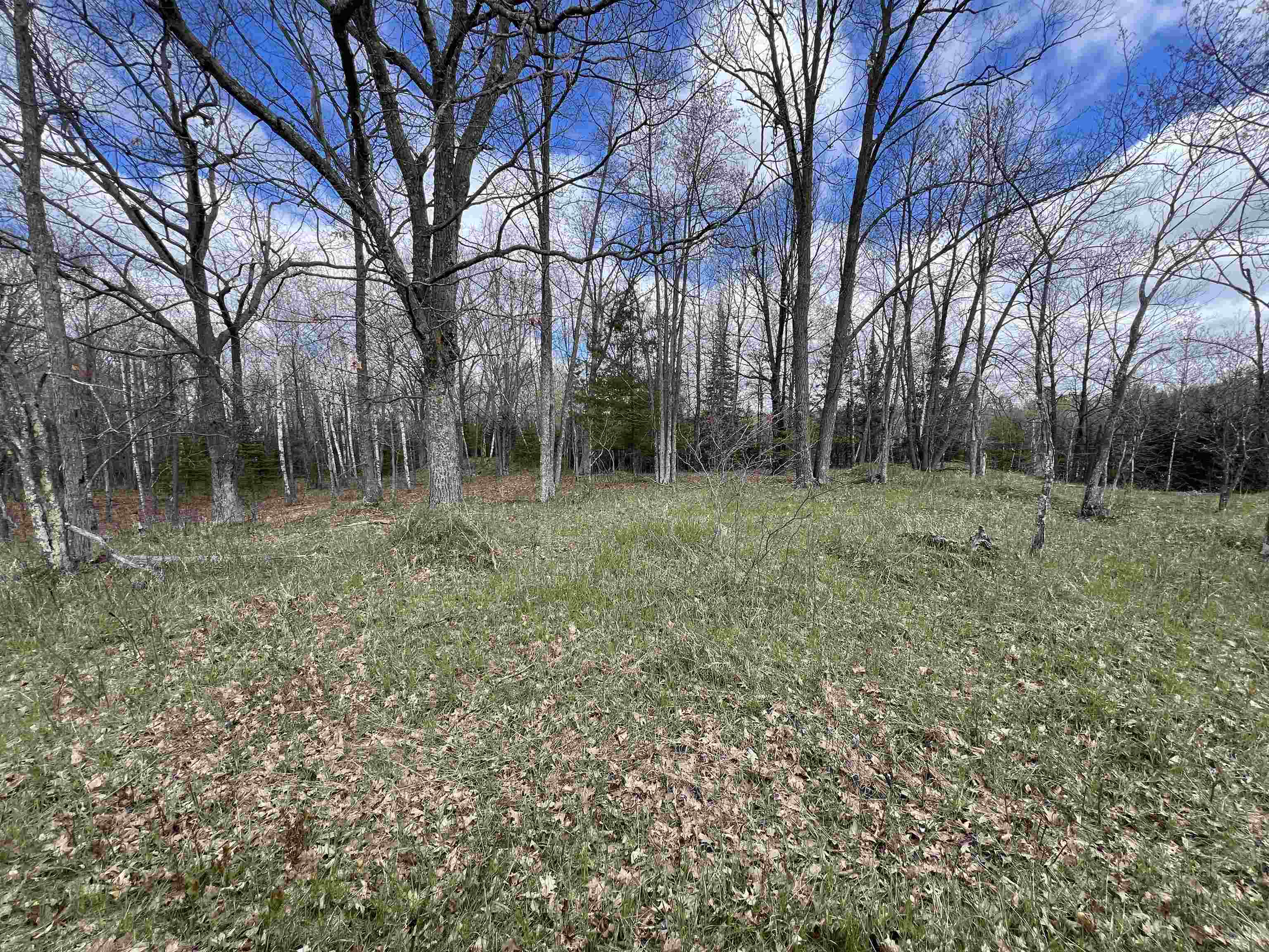 Nejedlo Road, Unit 5 Wausaukee, WI 54177 - Photo 5 of 5