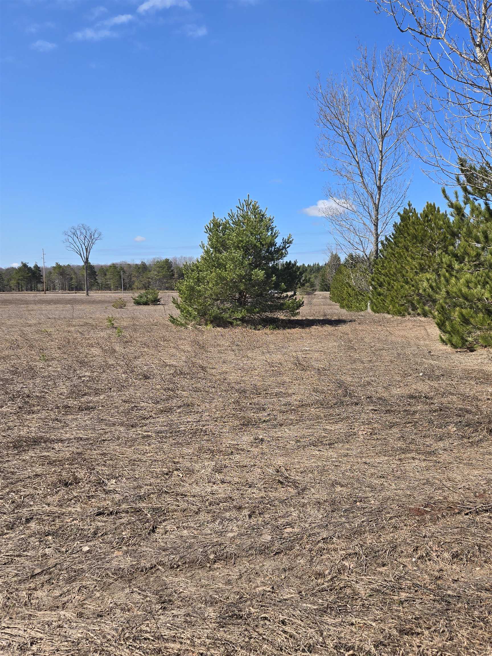 B Johnson Road, Unit LOT: B Mancelona, MI 49659 - Photo 15 of 48
