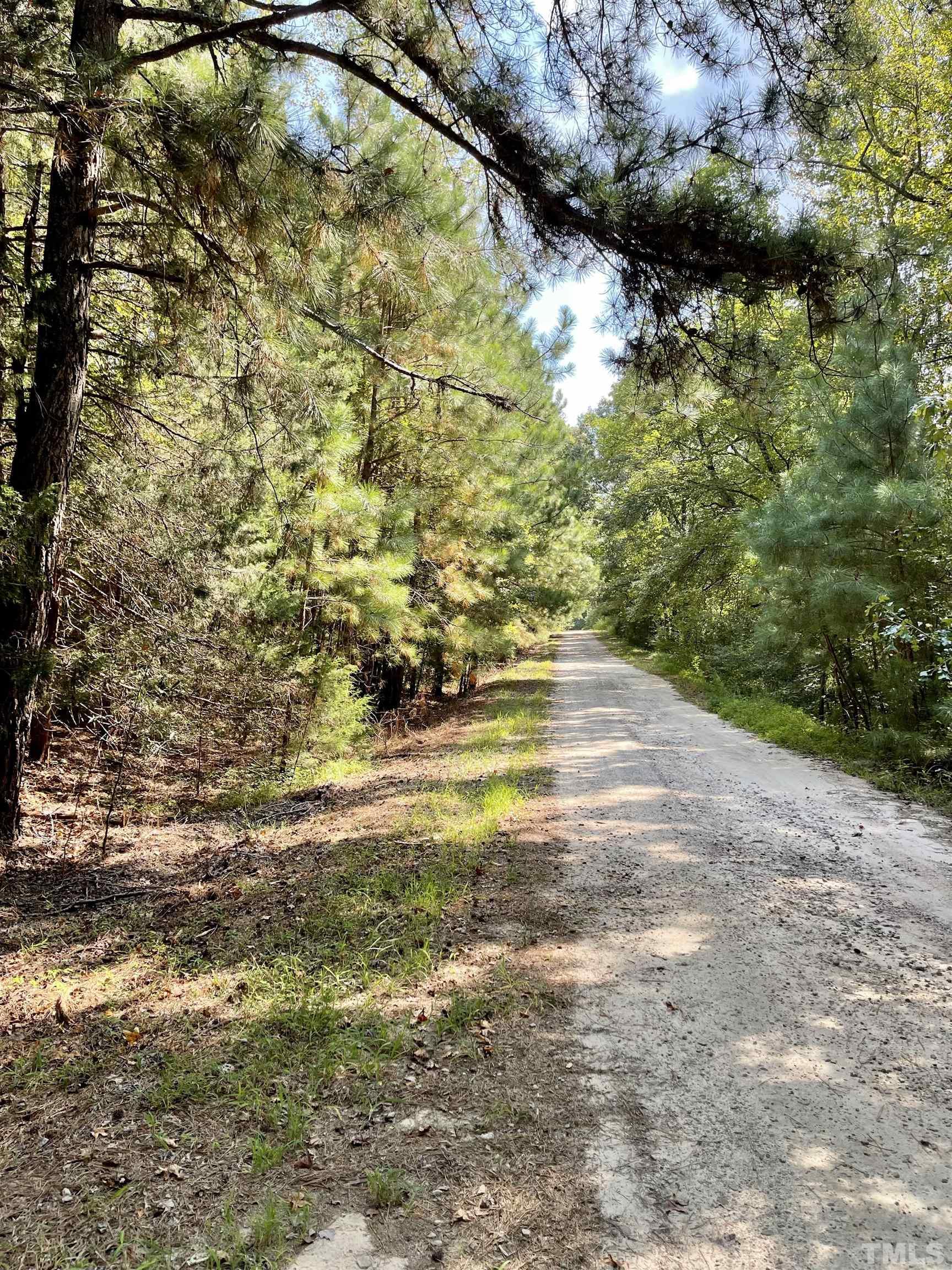 0 Raintree Lane Kittrell, NC 27544 - Photo 11 of 11 a view of a yard with a tree