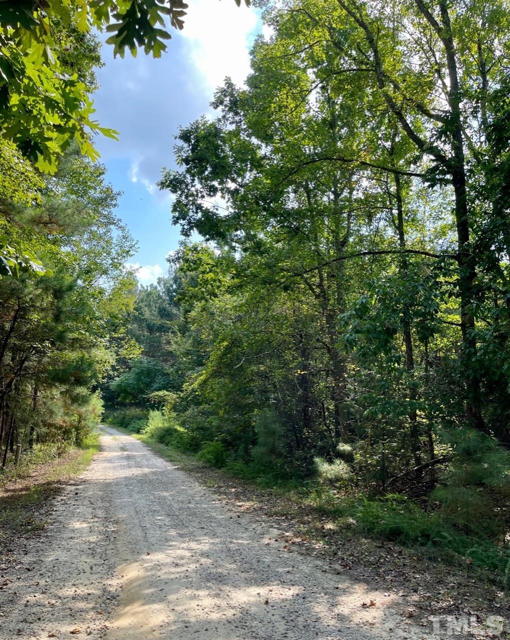 0 Raintree Lane Kittrell, NC 27544 - Photo 4 of 11 a view of a forest with trees in front of it