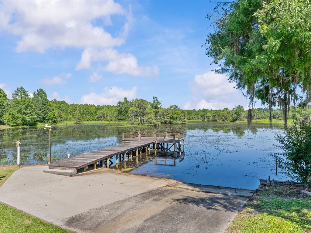 32724 Bozeman Road Dozier, AL 36028 - Photo 10 of 59