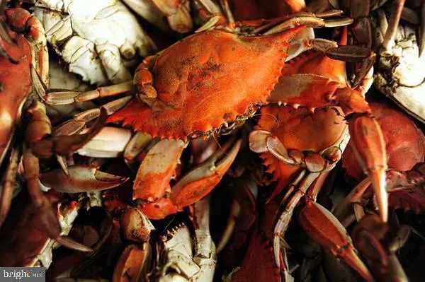 $540,000 | 1077 North Independence Drive, Montross, VA 22520