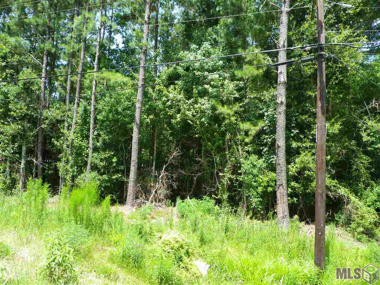 36365 North Corbin Road Walker, LA 70785 - Photo 1 of 1 Gallery Image 1