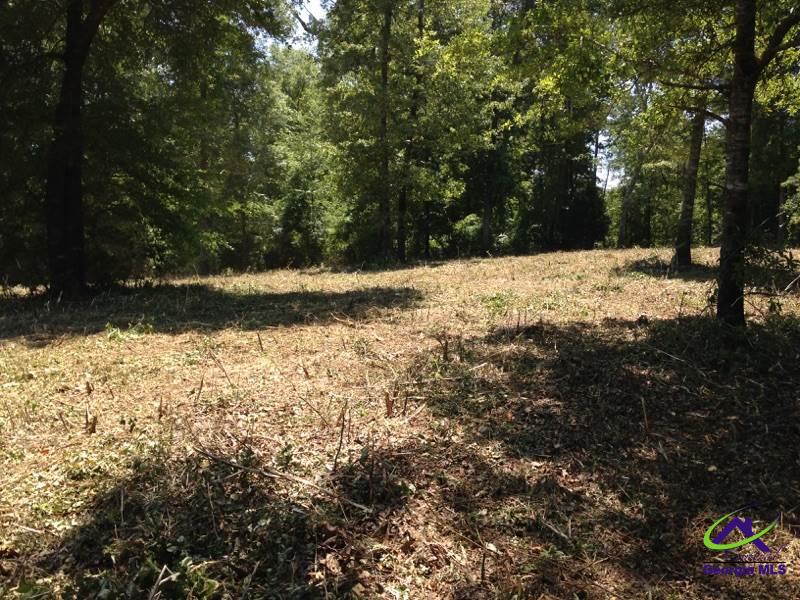 0 Holland Road Fort Valley, GA 31030 - Photo 1 of 1