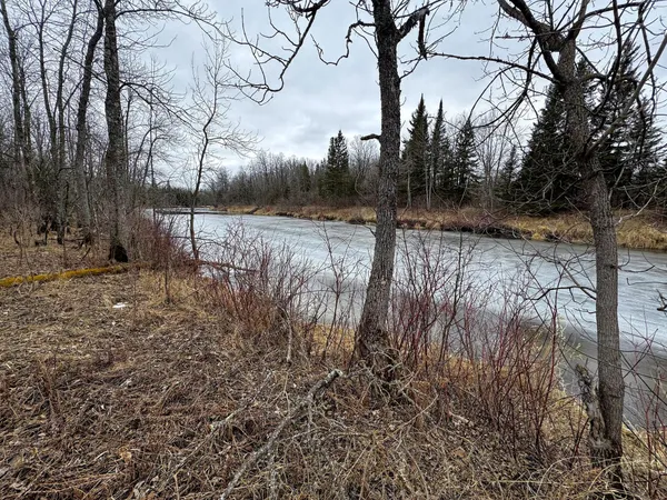 $29,900 | 5 SOUTH Koochiching Unorg Terr, Effie, MN 56639