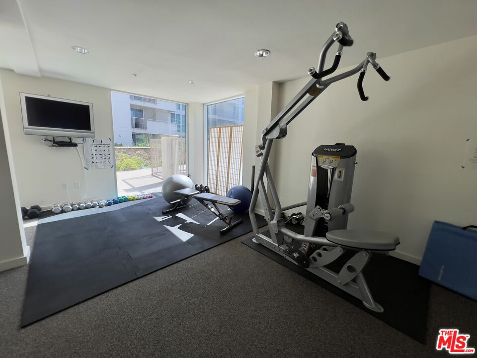 267 San Pedro Street, Unit 221 Los Angeles, CA 90012 - Photo 43 of 45 a room with gym equipment and windows