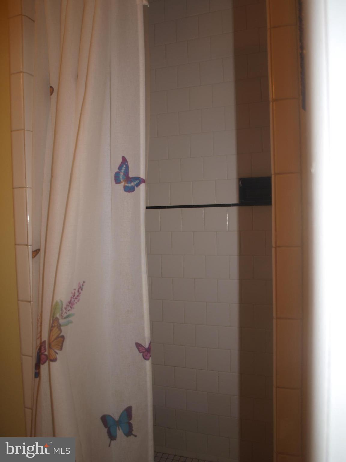 601 Arlewood Road Baltimore, MD 21228 - Photo 9 of 19 MBR Shower