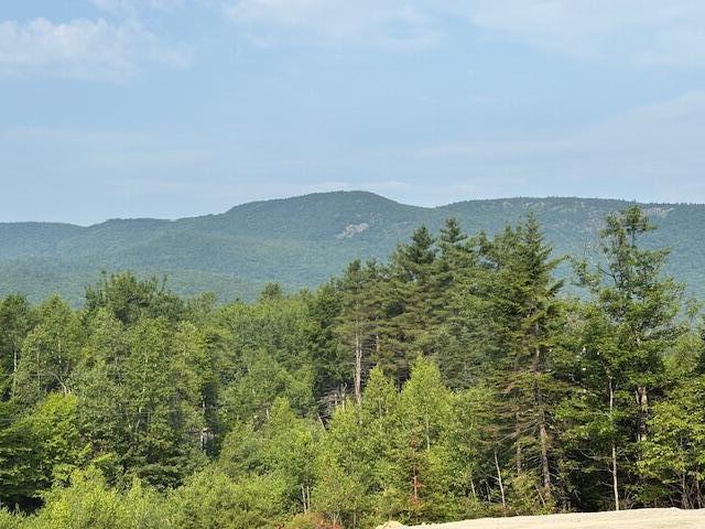 50 Thunder Snow Road Bethel, ME 04217 - Photo 8 of 21 IMG_3361