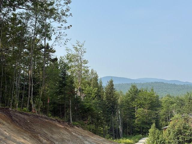 50 Thunder Snow Road Bethel, ME 04217 - Photo 9 of 21 IMG_3362