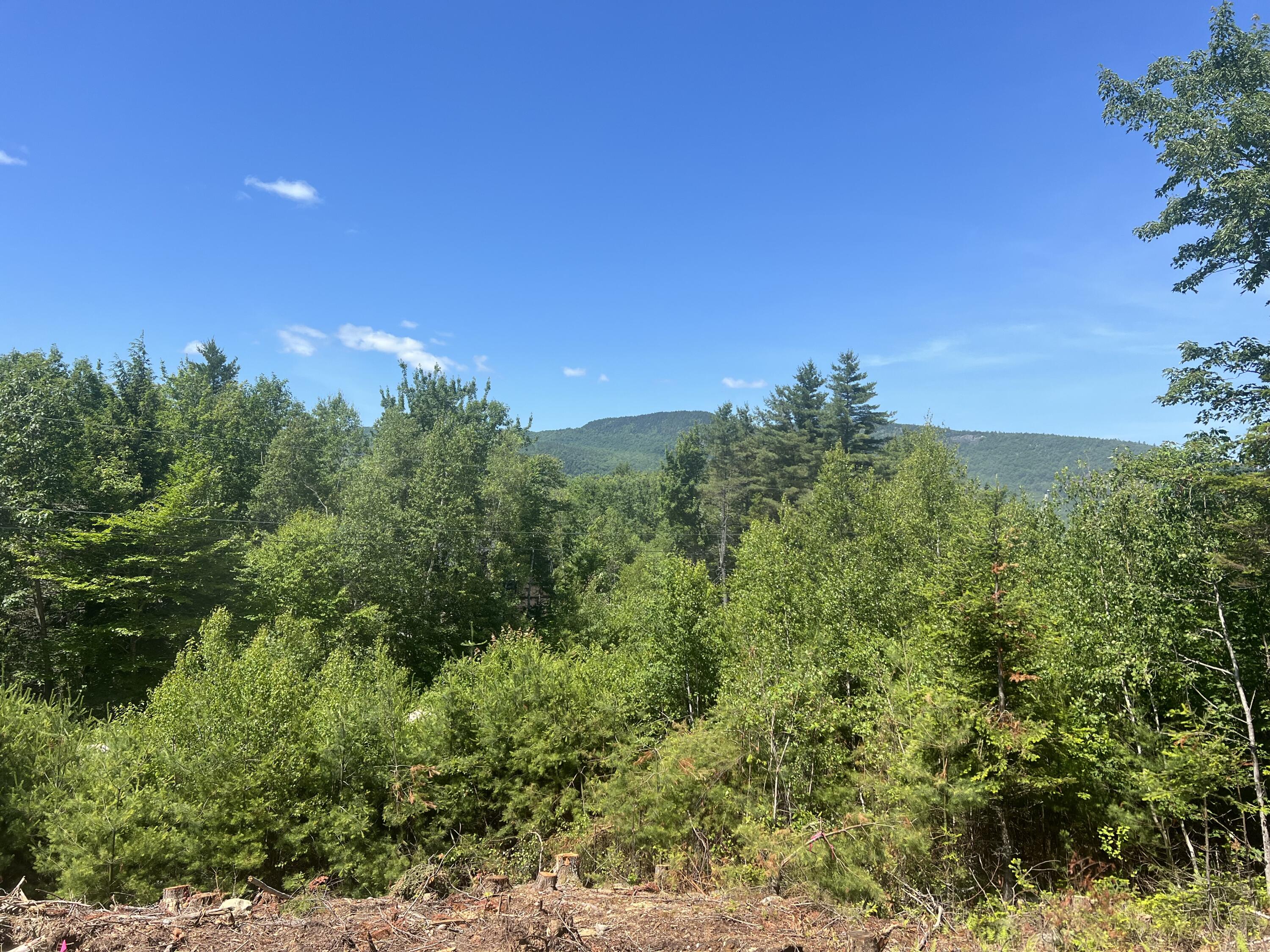 50 Thunder Snow Road Bethel, ME 04217 - Photo 10 of 21 IMG_9079