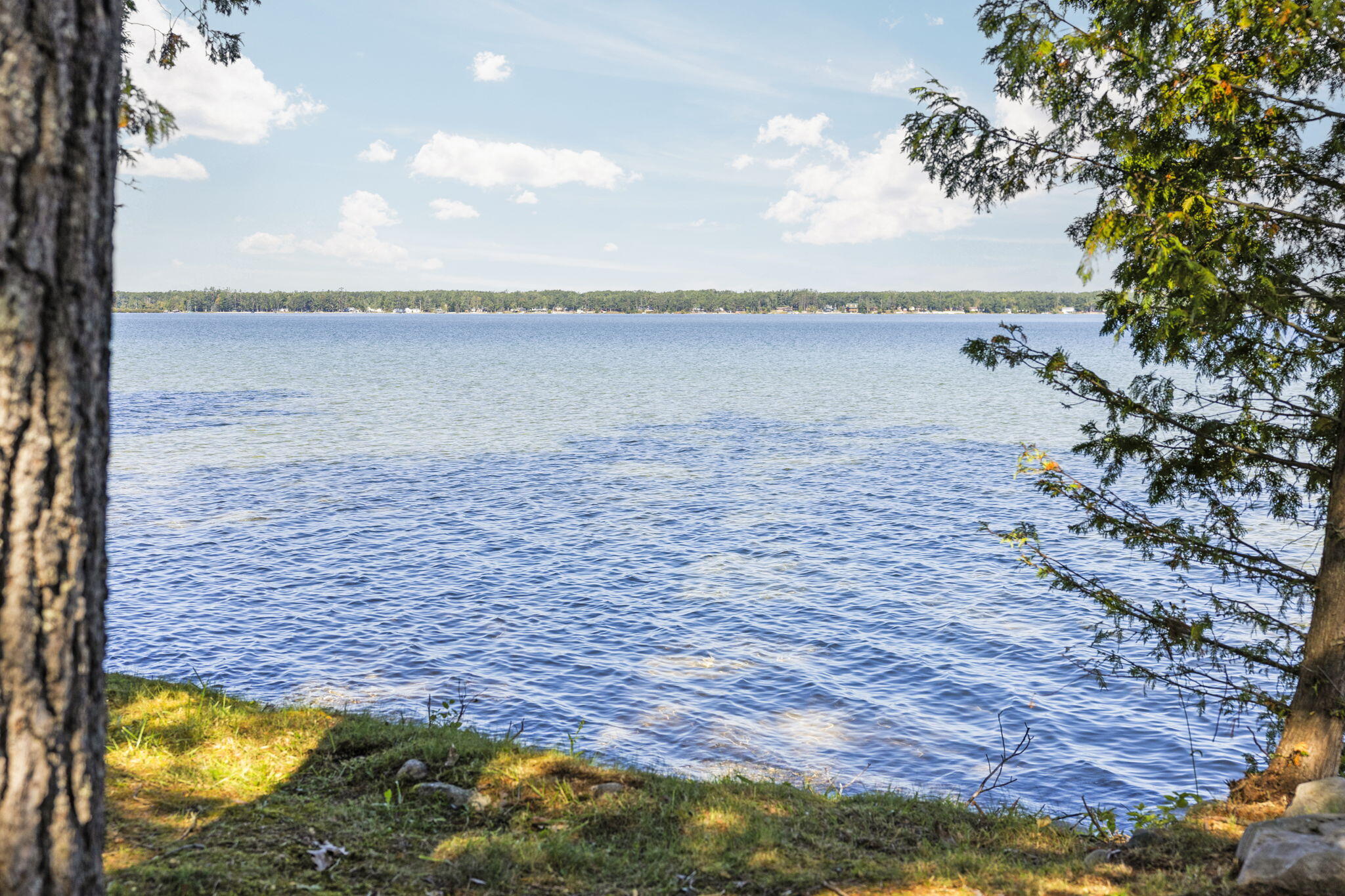 57-web-or-mls-CAG_9917
