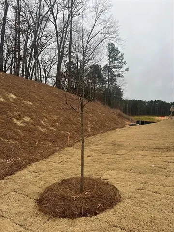 $3,200 | 5877 Cabernet Lane, Braselton, GA 30517