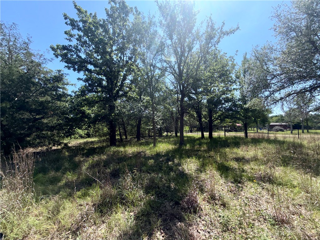 545 Cranberry Road Somerville, TX 77879 - Photo 4 of 19