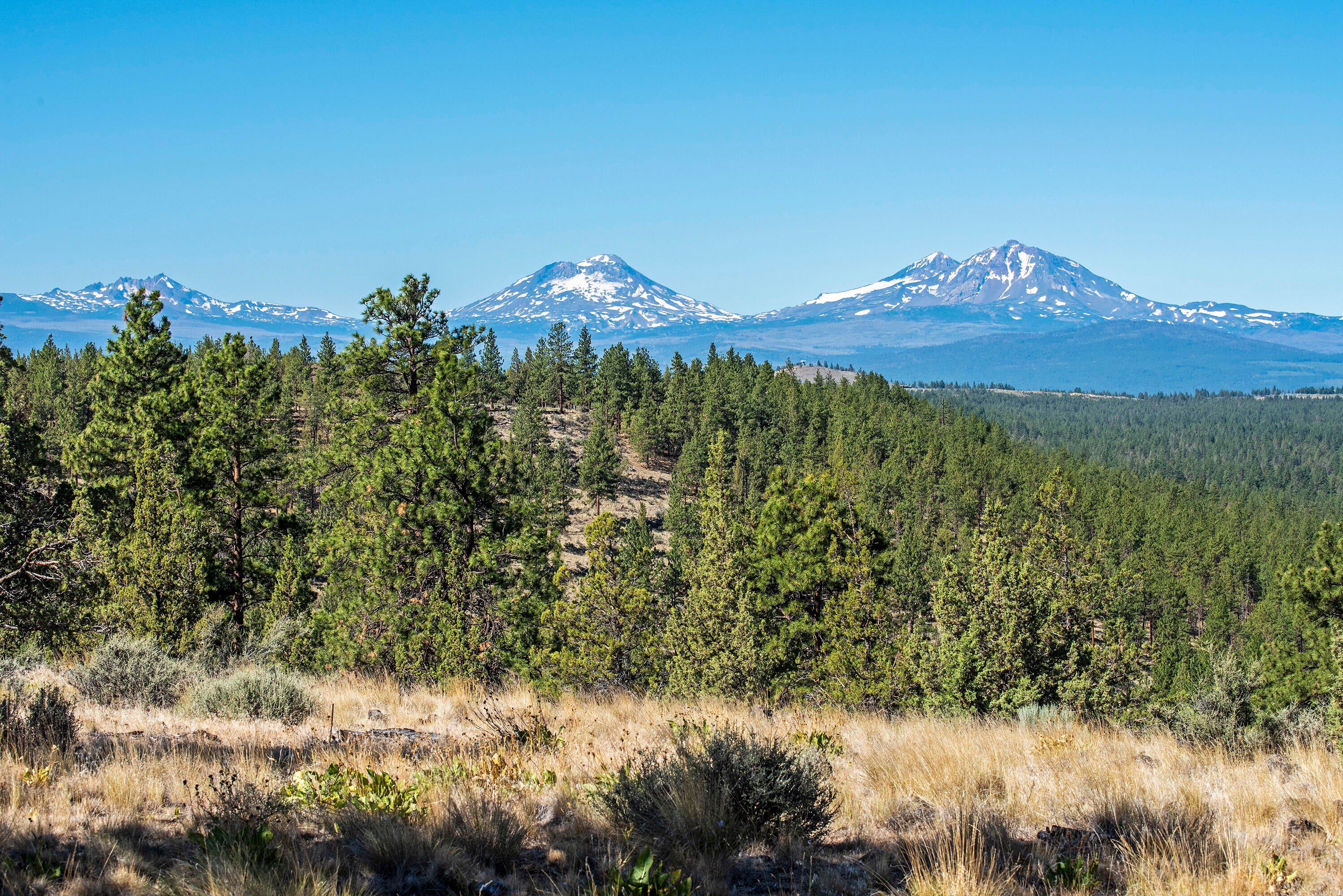17990 Mountain View Road Sisters, OR 97759 - Photo 10 of 21 DSC_8253
