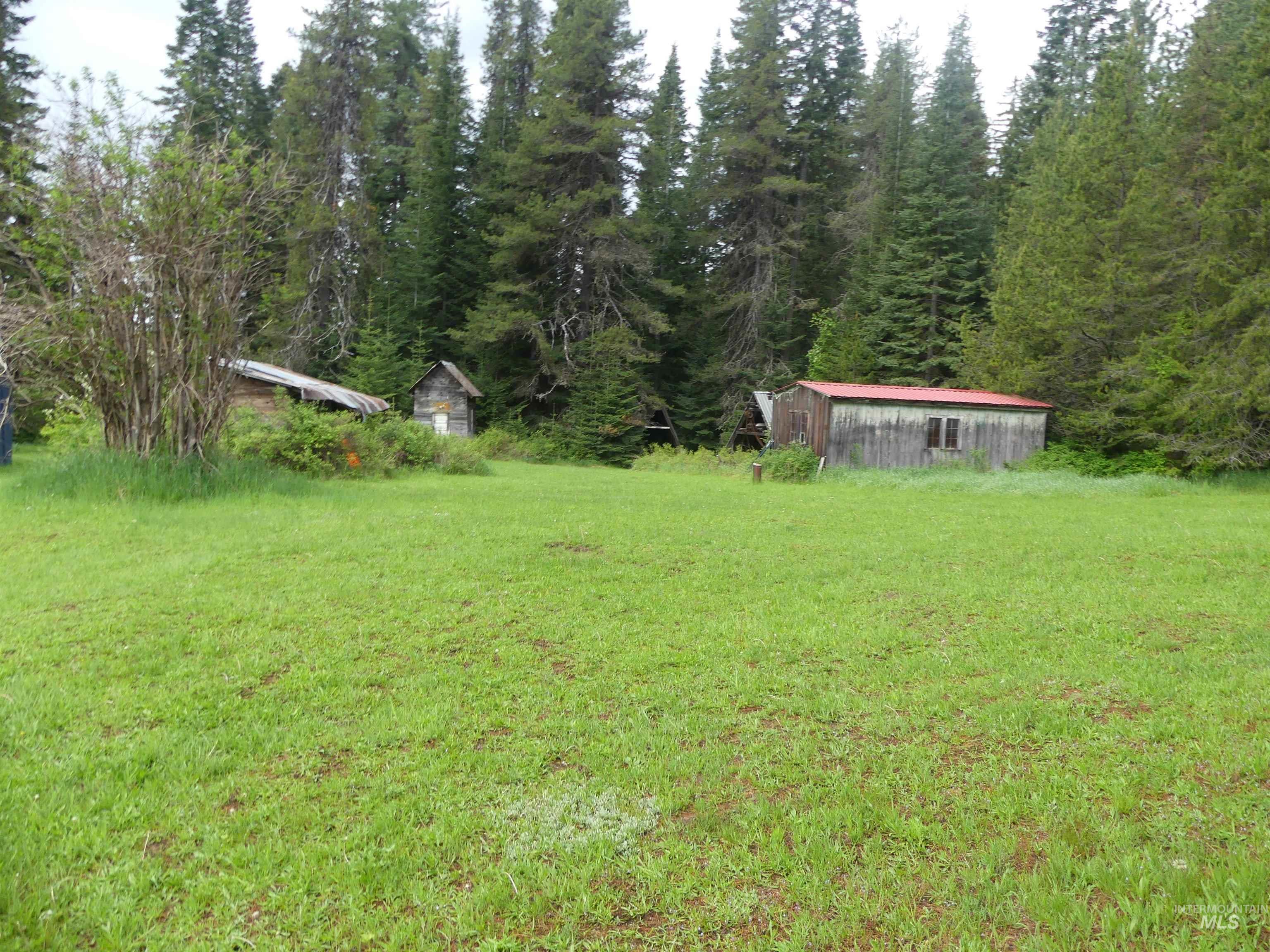 36975 State Highway 11 Pierce, ID 83546 - Photo 8 of 50
