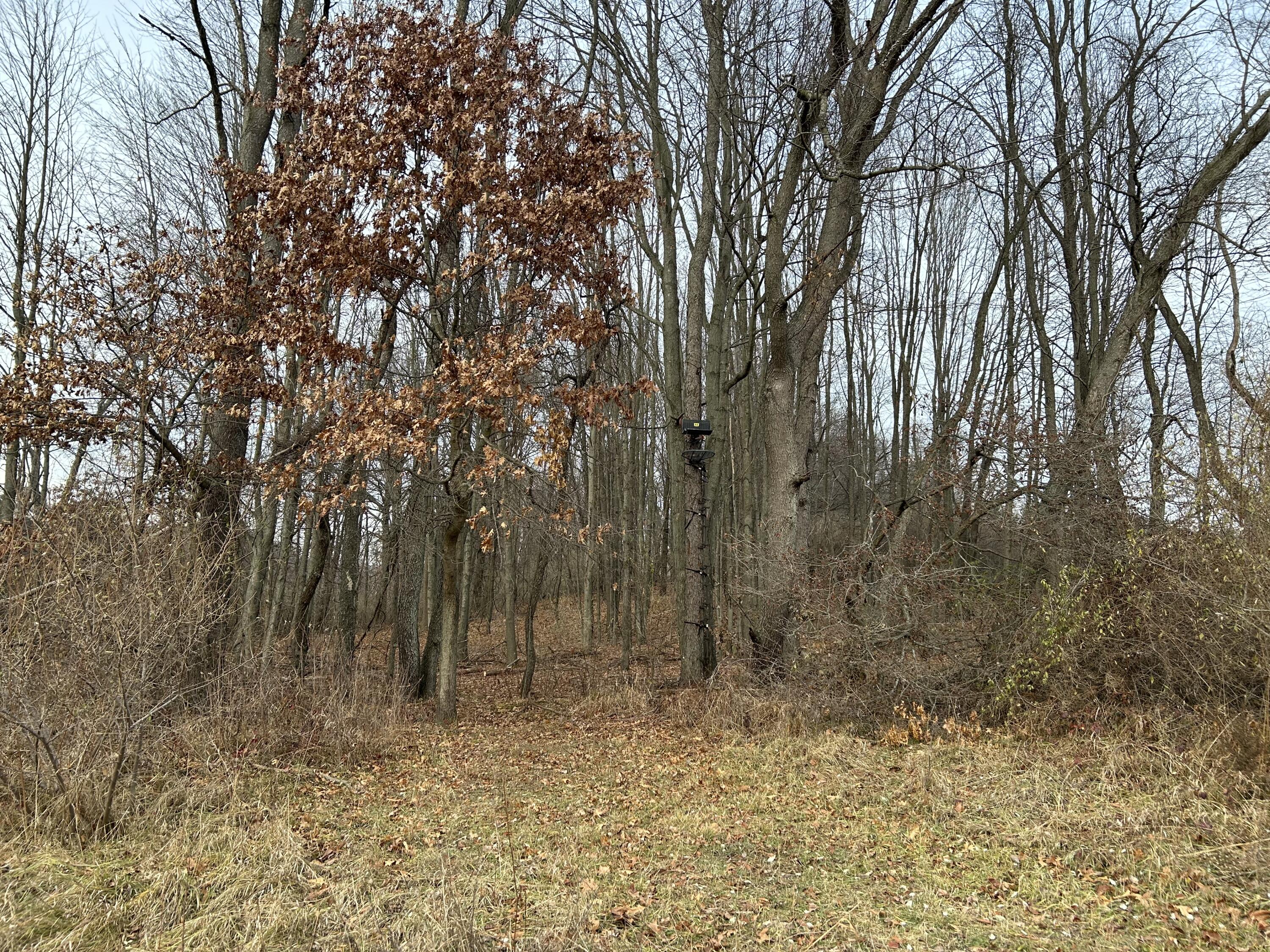 14.33 Amsden Road Fenwick, MI 48834 - Photo 11 of 18 IMG_0256