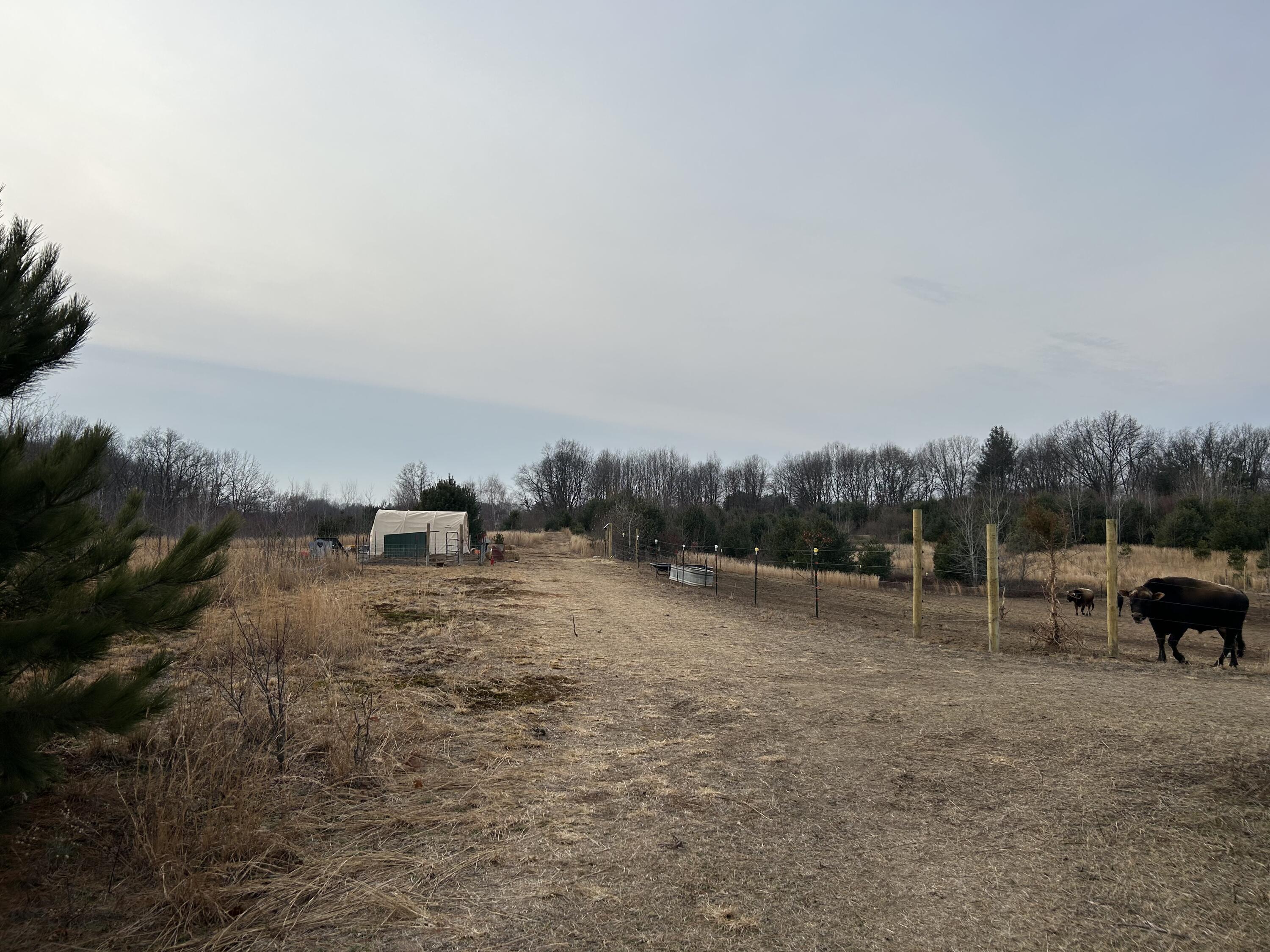 14.33 Amsden Road Fenwick, MI 48834 - Photo 6 of 18 IMG_0247