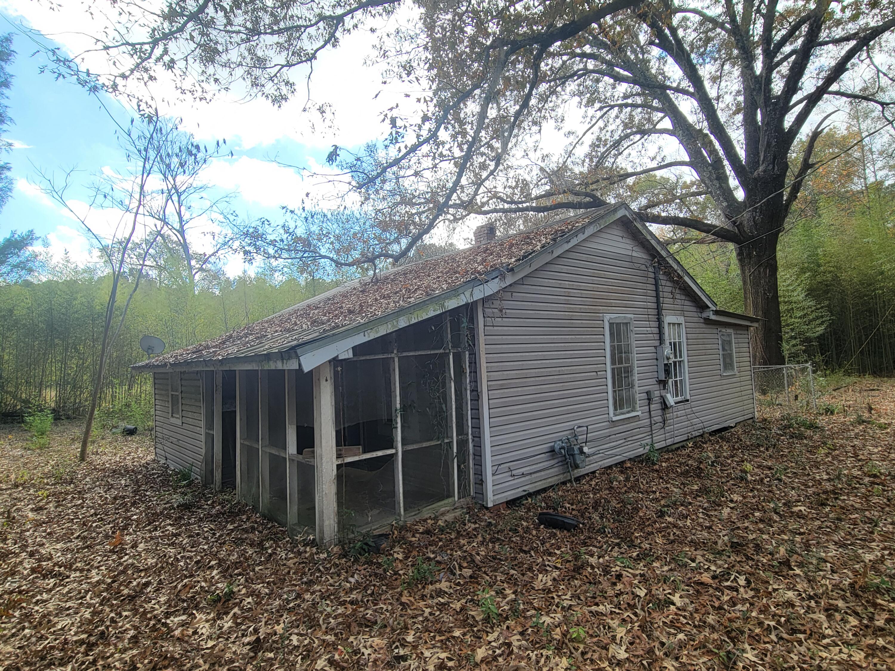 a view of backyard with large trees and wooden fence