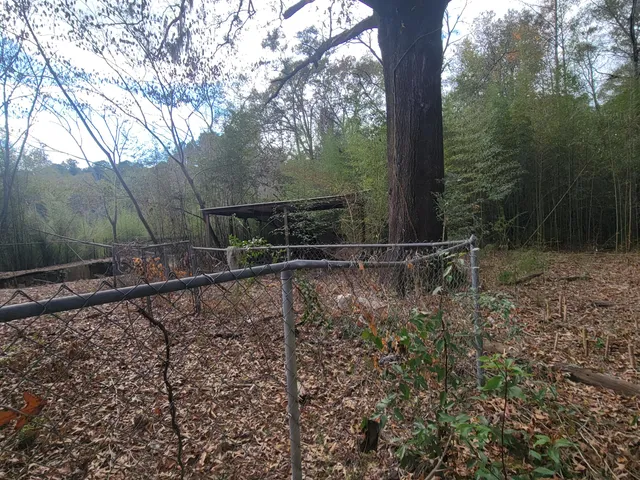 a view of backyard with green space