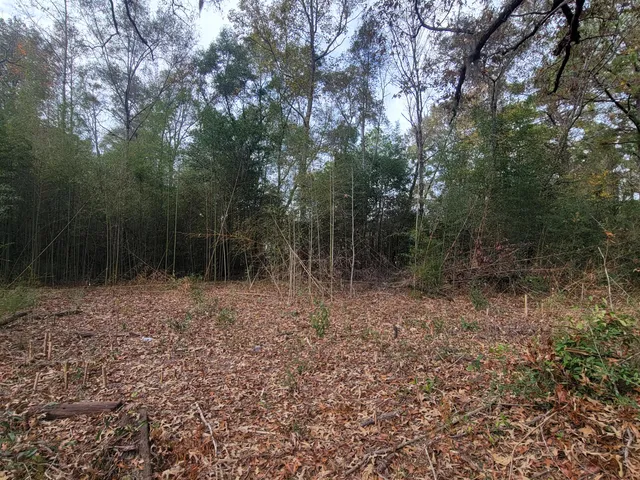a view of a backyard of the house