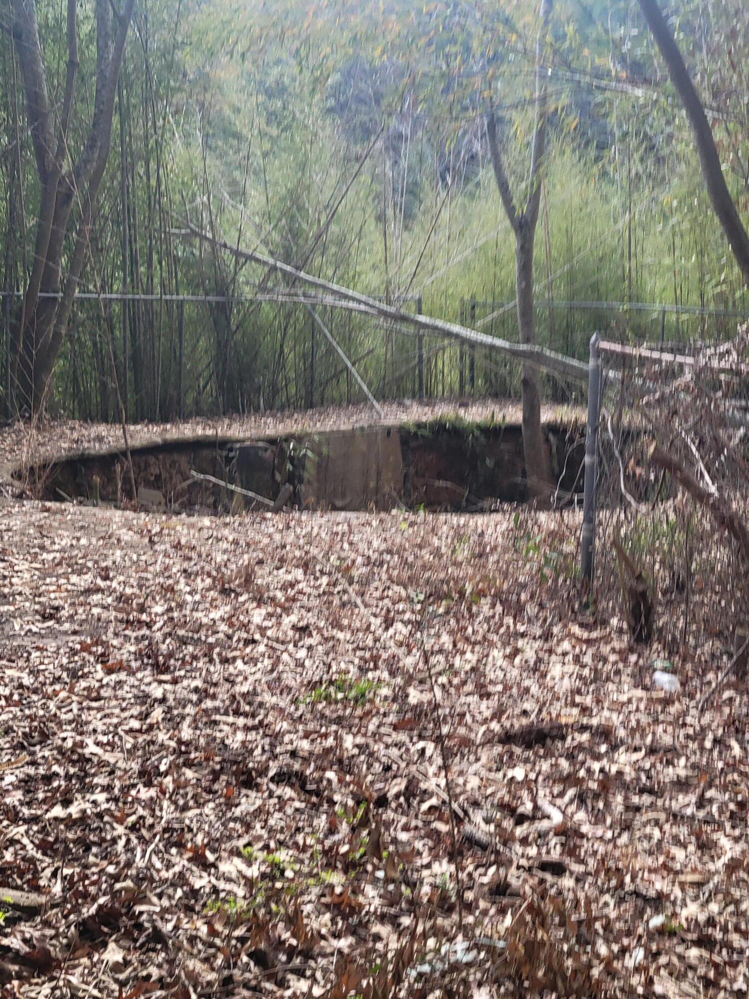 228 Double Bridge Road Laurel Hill, FL 32567 - Photo 16 of 23 a view of a forest