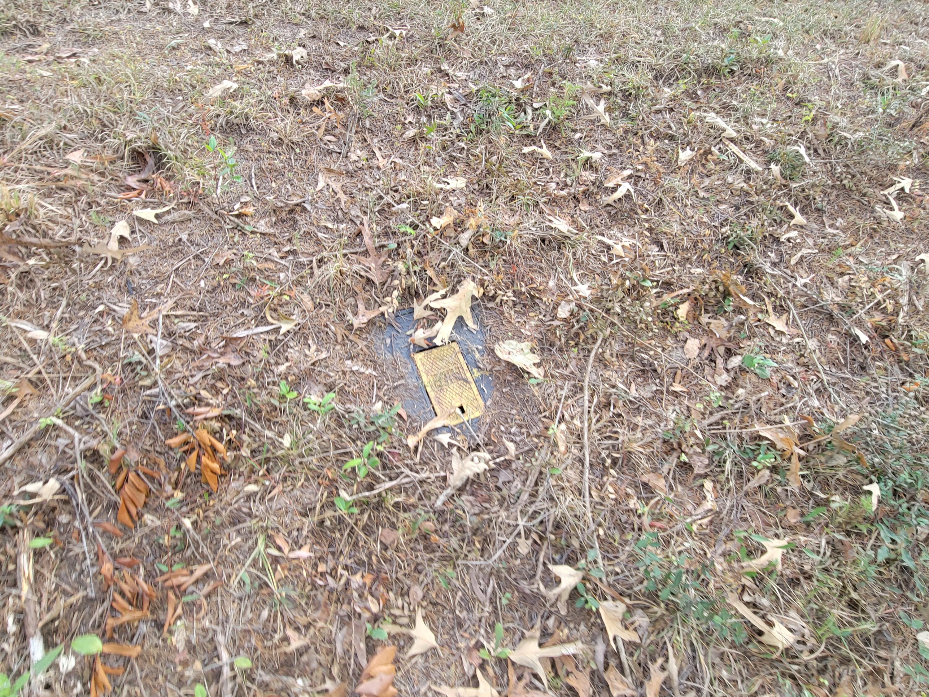 228 Double Bridge Road Laurel Hill, FL 32567 - Photo 17 of 23 a bird view of tree