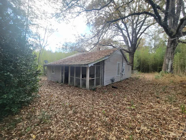 a close up of a plant